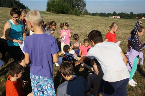 Obrázek v galerii